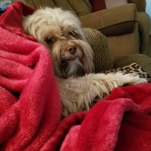 Meet your Posher, Sandra